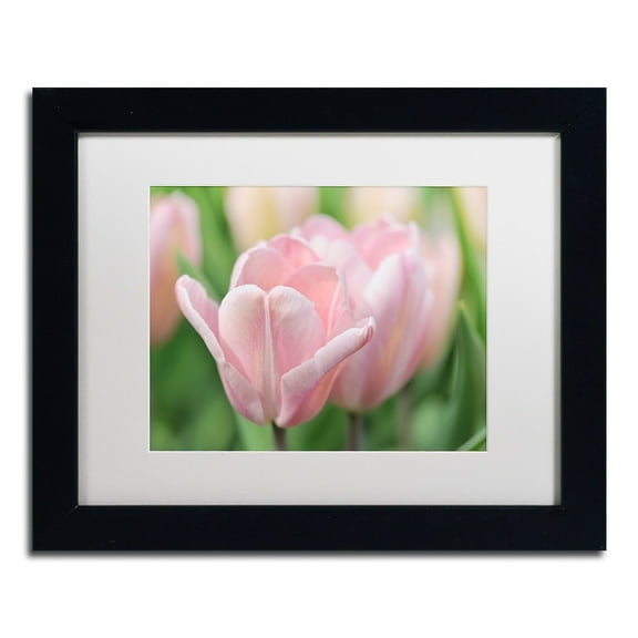 Trademark Fine Art 'Pink Tulip Baronesse' Canvas Art by Cora Niele, White Matte, Black Frame
