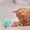 Blue, variant on Oversized Self-Activating Sound Egg-Shaped Cat Toy with Squeaky Crinkle Textures - Interactive Entertaining Plaything for Feline Companions Material