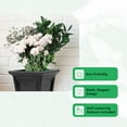 thumbnail image 2 of FCMP Outdoor Chelsea Planter Box with Self Watering Feature, Black (2 Pack), 2 of 7