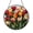 Acrylic 3.5 Inch, variant on Stained Glass Tulip Suncatcher with Multicolor Flower Arrangement, Decorative Circular Window Art for Bright Interior Spaces