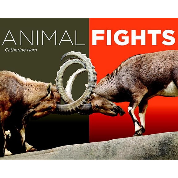 Animal Fights (Hardcover)