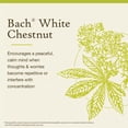 thumbnail image 3 of Esencia floral Bach Original de castaña blanca, 20 ml, vegana, 3 of 6