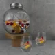thumbnail image 5 of Dispensador de Agua de Vidrio Ambient 21 7 L, 5 of 5
