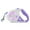Purple, variant on 16FT Retractable Dog Leash TeqHome Dog Walking Leash with Dispenser Poop Bags LED Light Fit for 66-110lbs Non-slip Ergonomic Handle Lockable Orange