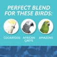 thumbnail image 4 of Pennington Large Bird Everyday Blend Bird Food for Parrots, Cockatoos; 3 lb. Bag, 4 of 10