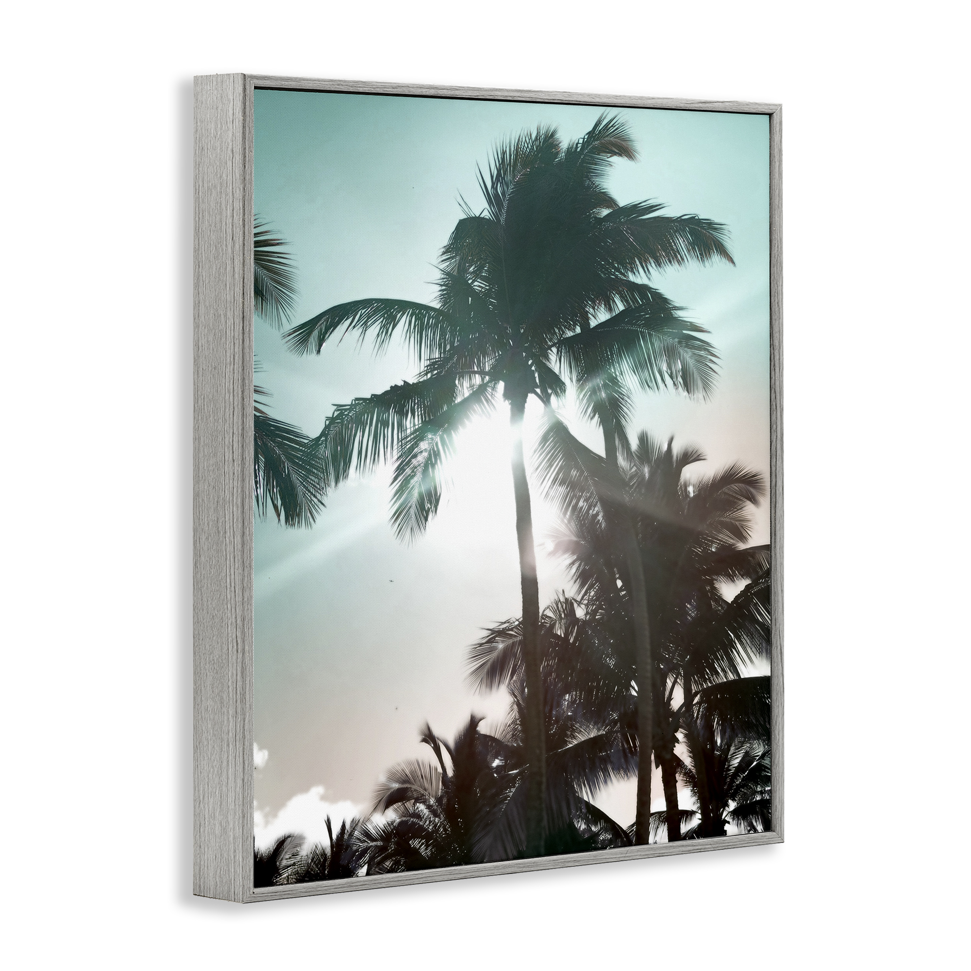 Stupell Industries Shady Palm Trees Coastal Photography Gray Framed Art Print Wall Art, 24 x 30