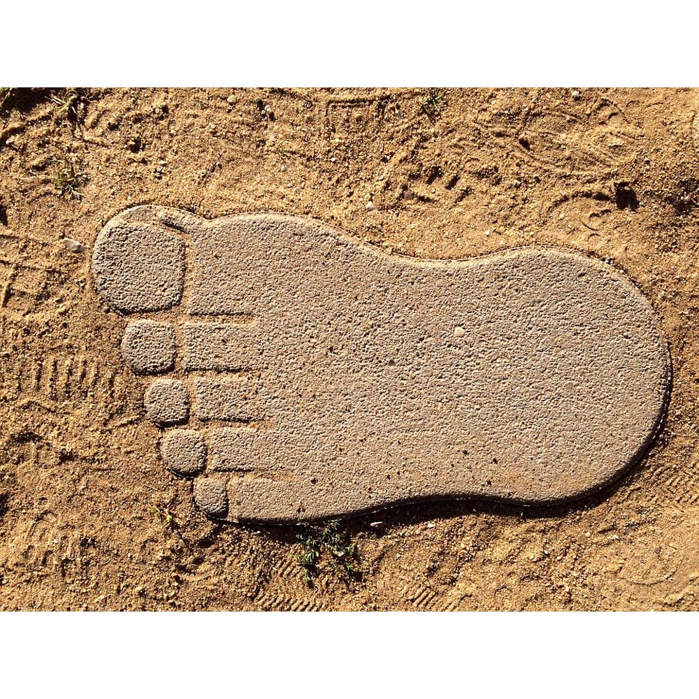 Barefoot Tracks In The Sand Foot Footprint Sand20 Inch By