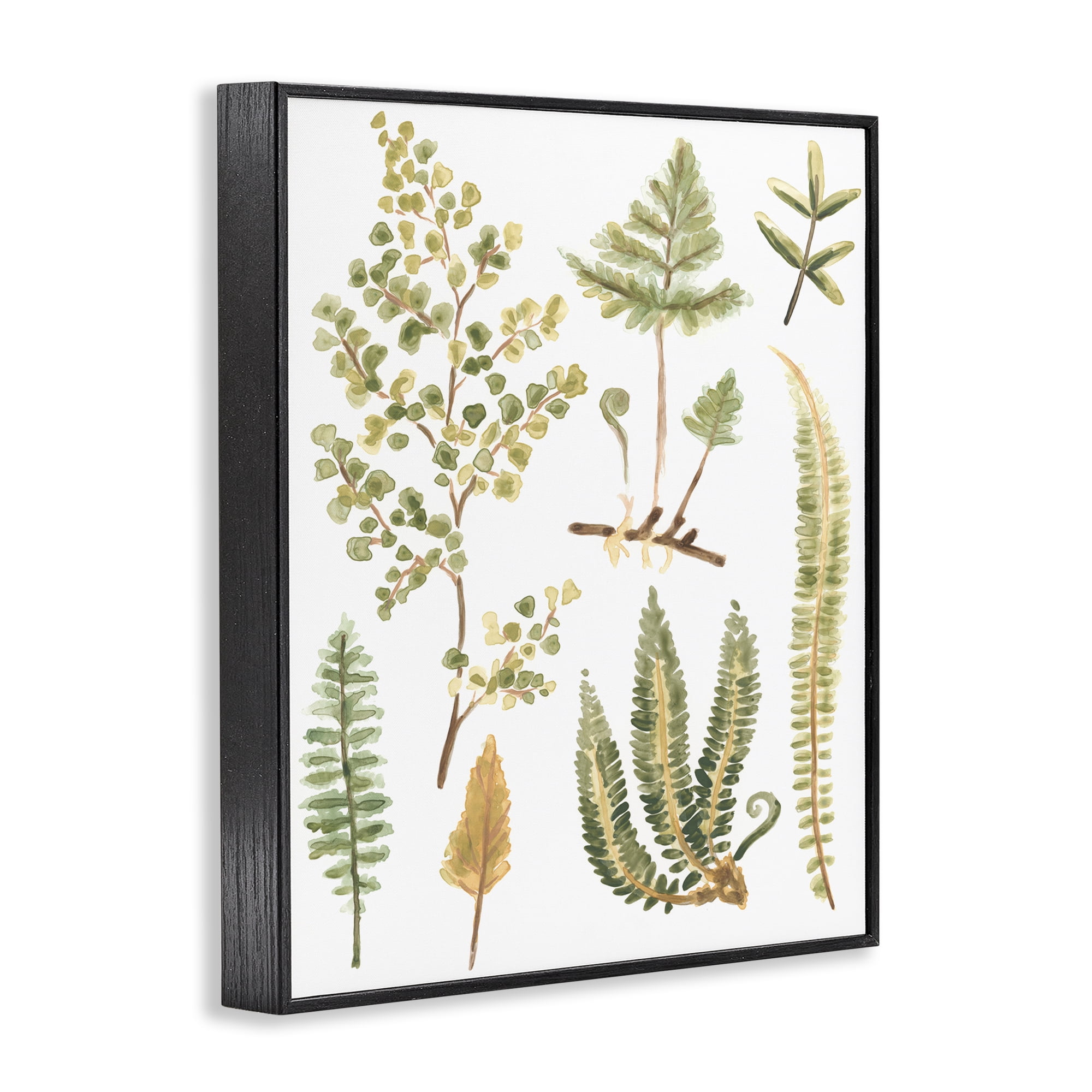 Stupell Industries Wild Forest Ferns Botanical & Floral Painting Black Framed Art Print Wall Art, 11 x 14