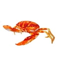 thumbnail image 1 of 1Set Crab Plush Toy Red Stuffed Marine Animal for Kids Home Decoration, 1 of 8