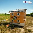 thumbnail image 6 of Morrell Targets 2-Sided Archery Bag Target w/ E-Z Tote Handle and Realtree Edge Camouflage, 6 of 13