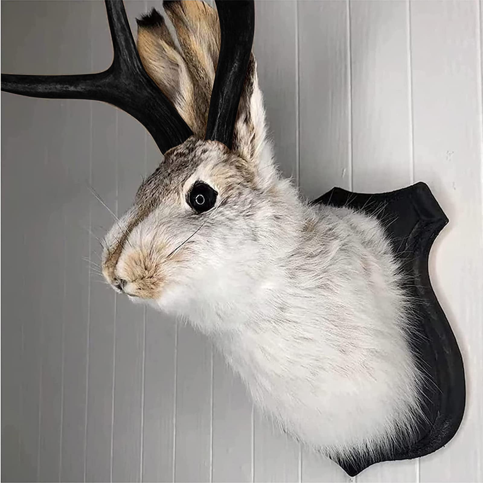 QWANG Mount, Easter Bunny Wall Decor,Taxidermy, Animal Head Wall Decor