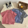 thumbnail image 3 of WNVMWI Toddler Boys Short Sleeve Plaid Shirt Childrens Collar Basic Tops Kids Summer Casual Button Down Shirts 5-6 Years Blue, 3 of 3