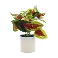 thumbnail image 2 of Riguas Simulation Pot Plant Realistic Looking Not Wither Geometric Shape Potted Unfading Maintenance Free Decorate Exquisite Details Home Decor Artificial Plants Bonsai for Home, 2 of 8