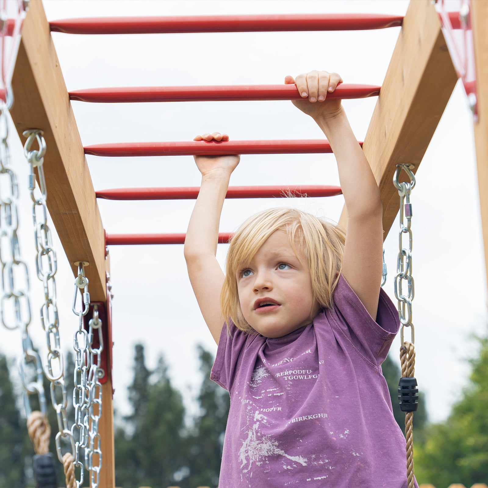 Dolphin Playground Cedar Wood Swing Set with Monkey Bars, Trapeze & 2 Belt Swings | Heavy-Duty Outdoor Backyard Playset for Kids | 440 lbs Capacity