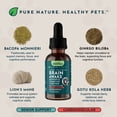 thumbnail image 4 of Animal Essentials Brain Awake Cognitive Support Formula For and Dogs Cats 1 oz., 4 of 9