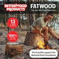 thumbnail image 3 of Better Wood Products Protect the Parks Fatwood Firestarter Sticks, Acadia, 3 of 13