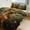 chudan, variant on Duvet Cover Queen Size Guitar Skeleton Rock 3 Pcs Duvet Cover Set Bedding Sets Queen Soft Breathable