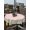 Cherry Pink Gray Green White, variant on Outdoor Tablecloth with Umbrella Hole and Zipper, Pink Leaves Round Table Cloth 54 Inch Waterproof Tablecloth, Green Summer Botanical Pastoral Picnic Table Cover for Patio Camping