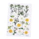 thumbnail image 5 of Cateissary Flores secas, flores prensadas naturales, decoraciones de mixtas, accesorios de bricolaje, artículos para el hogar, decoración artística Type2 NO2 Cateissary CBP225216, 5 of 5