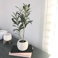 thumbnail image 4 of Flora Bunda Artificial Olive Tree in 14" Gray Cement Pot, 4 of 5