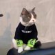 thumbnail image 1 of Ropa de marca de moda para perros y gatos de otoño e invierno, muñeco de tela para gatos, suéter con forro polar chenari para perros pequeños antipelusas de Blue Cat, 1 of 5