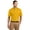 Gold, variant on Sport-Tek Dri Mesh Polo-XL (Forest Green)