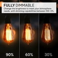 thumbnail image 3 of Bombillas incandescentes Hudson Bulb Co. Vintage, 6 W, 2100 K, paquete de 4, 3 of 9