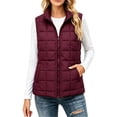 thumbnail image 5 of Byworldtasic Women's Lightweight Quilted Puffer Vest Stand Collar Zip Up Outerwear Sleeveless Jacket with Pockets, 5 of 8