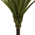 thumbnail image 3 of Nearly Natural 5' Spiked Agave Tree, 3 of 3