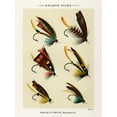 thumbnail image 2 of Marbury, Mary Orvis 19x24 White Modern Wood Framed Museum Art Print Titled - Salmon Fishing Flies II from Favorite Flies and Their Histories, 2 of 4