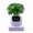 Purple, Gen 2, variant on ITIGOITIE Smart Flowerpot with Artificial Intelligence, Time & Temperature Display, Multiple Expressions, Ideal for Indoor Decoration & Gifts (Pink, Gen 2)