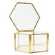 thumbnail image 5 of Caja de joyería de terrario geométrico de Metal de cristal hexagonal de 2 piezas Decoración de compromiso perfecl Terrario geométrico moderno, 5 of 8