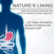 Lane Labs Nature's Lining - 60 Tablets