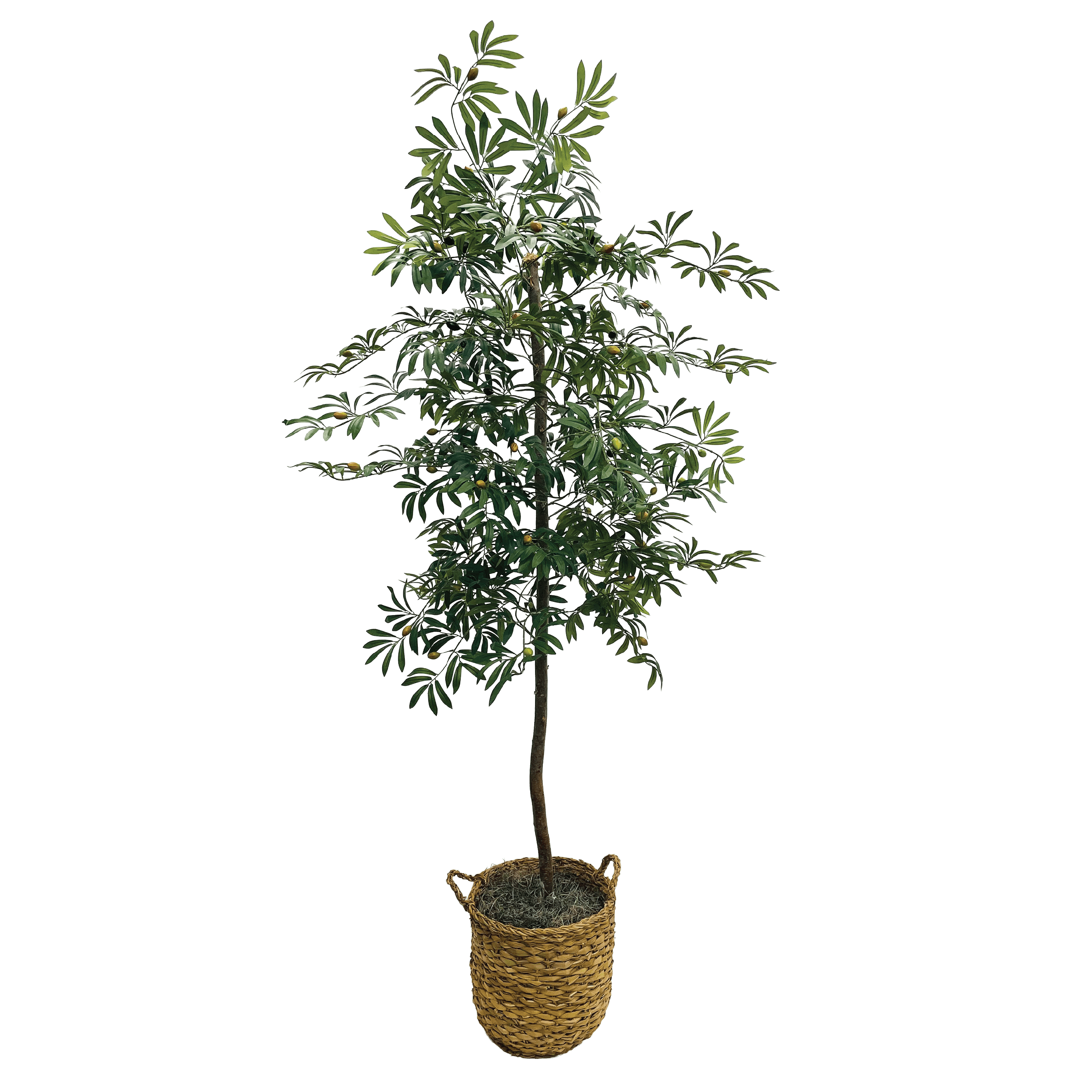 Artificial Tree, LCG Florals 6ft Olive Tree in Deco Basket, Fake Indoor Faux Tree for Living Room, Office, and Home Decor