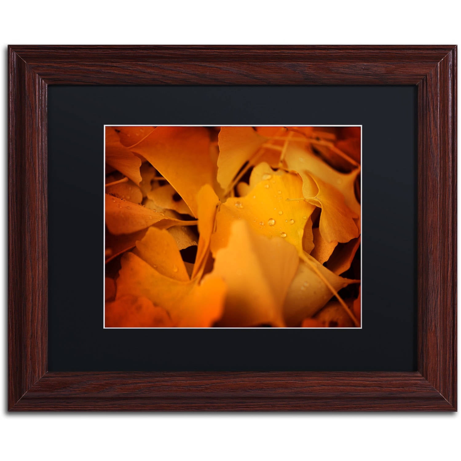 Red vs Yellow by Philippe Sainte-Laudy Black Frame 11x14-Inch