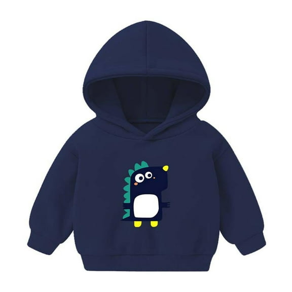 Fesfesfes Sweatshirt for Kids Hoodies Boys N Girls Hoody Toddler Pullover Outerwear Tops