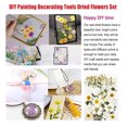 thumbnail image 2 of Dried Flowers Set Scrapbooking Decorating Real Fillings Material Pressed Flower Decal Handicraft Filling Pressed Specimen Label for Makeup Phone Use Type 1, 2 of 6