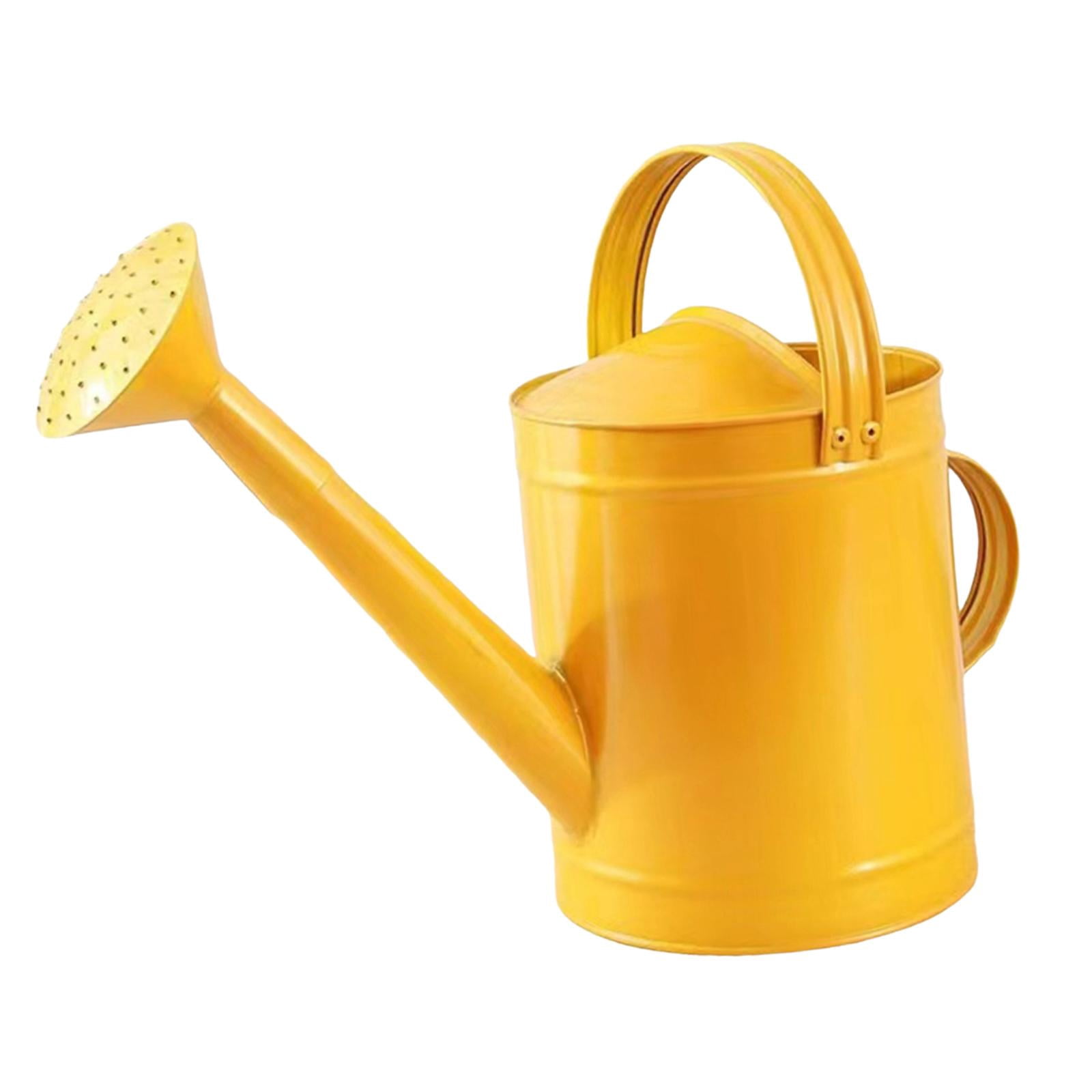YWMJZEU 4L Watering Can with Handle, Leak, Removable Spout, Garden Tool, Rust-Resistant, golden