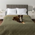 thumbnail image 2 of PetAmi Waterproof Couch Cover for Dogs, Non-Slip Leakproof Sofa Furniture Protector for Pet Cat, Machine Washable Bed Blanket for Car Seat, 102x82 Green, 2 of 8