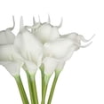 thumbnail image 3 of 13" Calla Lily 9-Piece Bunch - White, Green, 3 of 3
