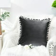 thumbnail image 5 of Dinheiro Funda de almohada sólida de terciopelo granular suave de 18x18 "adecuada para sofá dormitorio Coche paquete de 2 piezas, 5 of 5
