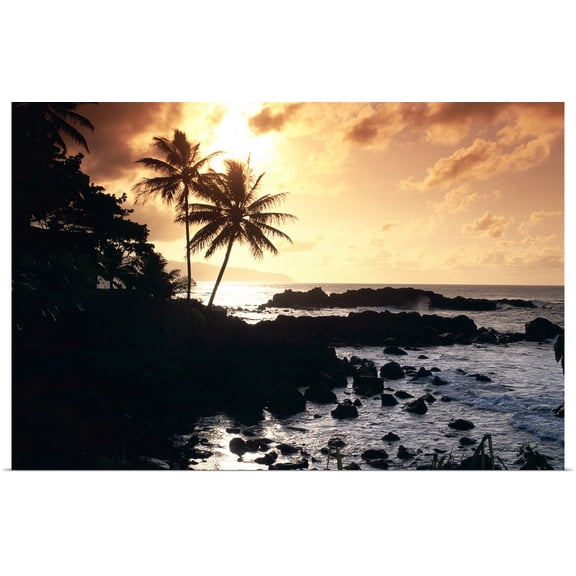 Great BIG Canvas | Rolled Bill Schildge Poster Print entitled Hawaii, Oahu, North Shore, Rocky Shoreline With Palms Silhouetted At Sunset
