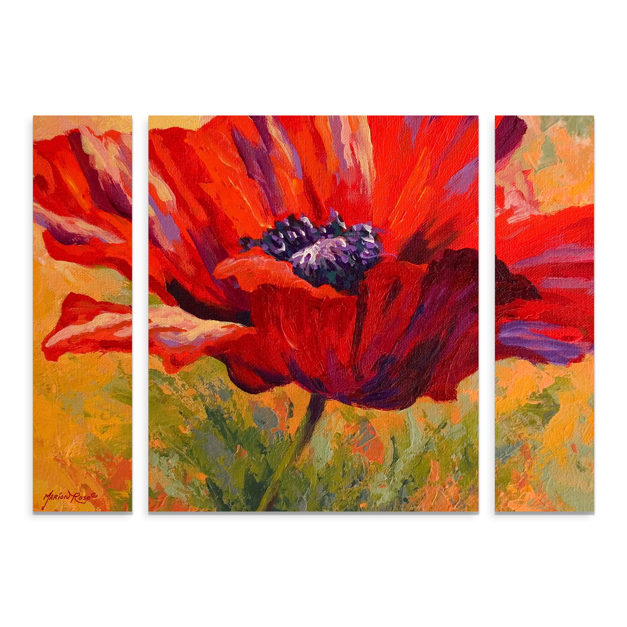 Trademark Fine Art 'Red Poppy II' Multi Panel Art Set by Marion Rose