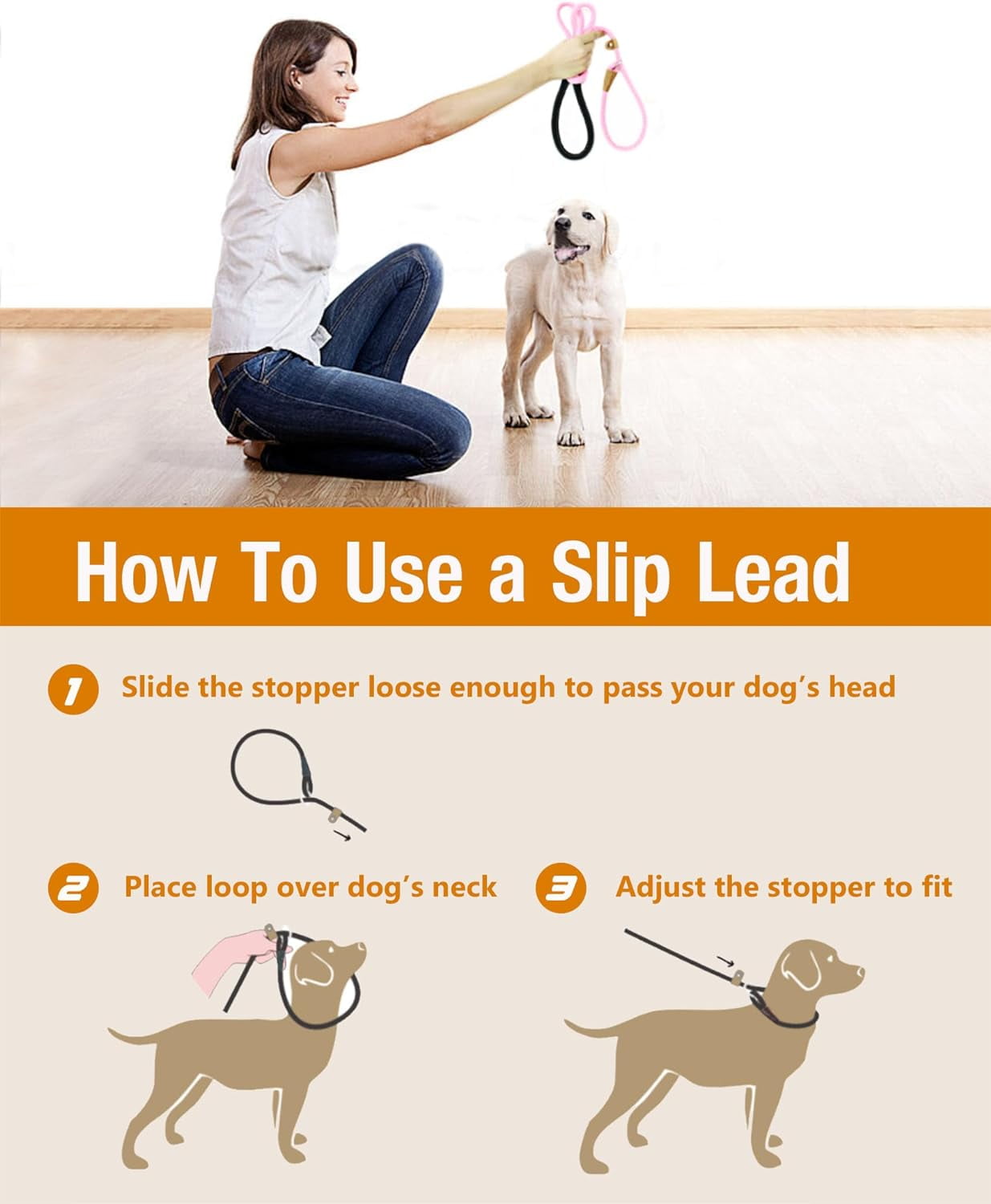 how to use a dog leash