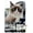 Premium Poster & Mount Bundle, variant on Grumpy Cat - Shut Up Wall Poster, 22.375" x 34", Framed