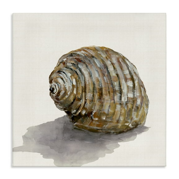 Stupell Industries Curved Seashell on Beige Nautical & Beach Painting Wrapped Canvas Art Print Wall Art, 17 x 17