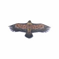 thumbnail image 1 of Cometa De Águila De 1,1 M, Cometas De Animales De Una Sola Línea, Cometa Para Niños, Cometa Interesante Para Exteriores Speravity HA020235-00, 1 of 6