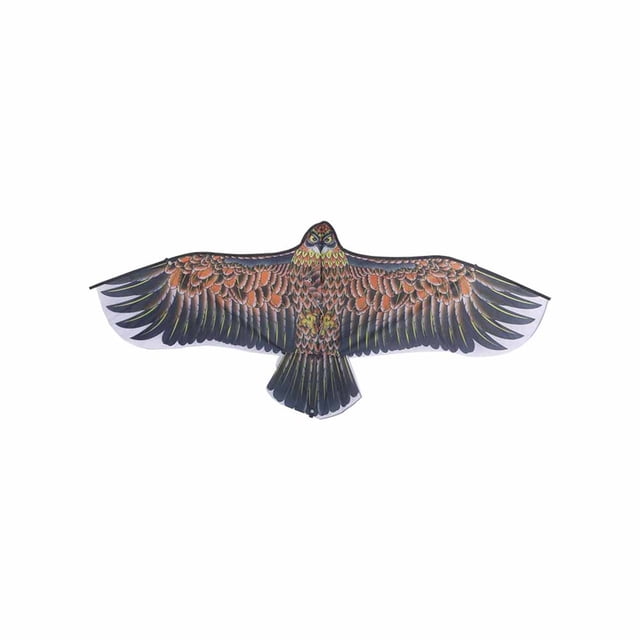 Cometa De Águila De 1,1 M, Cometas De Animales De Una Sola Línea, Cometa Para Niños, Cometa Interesante Para Exteriores Speravity HA020235-00