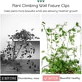 thumbnail image 3 of HUGFEGWE 40 Pcs Plant Climbing Wall Fixture Clips Self-Adhesive Hook Vines Traction Clips Invisible Holder Garden Green Leaf Simulation Self-Adhesive Hook Wire Fixing Supporting AZ824-10628, 3 of 6