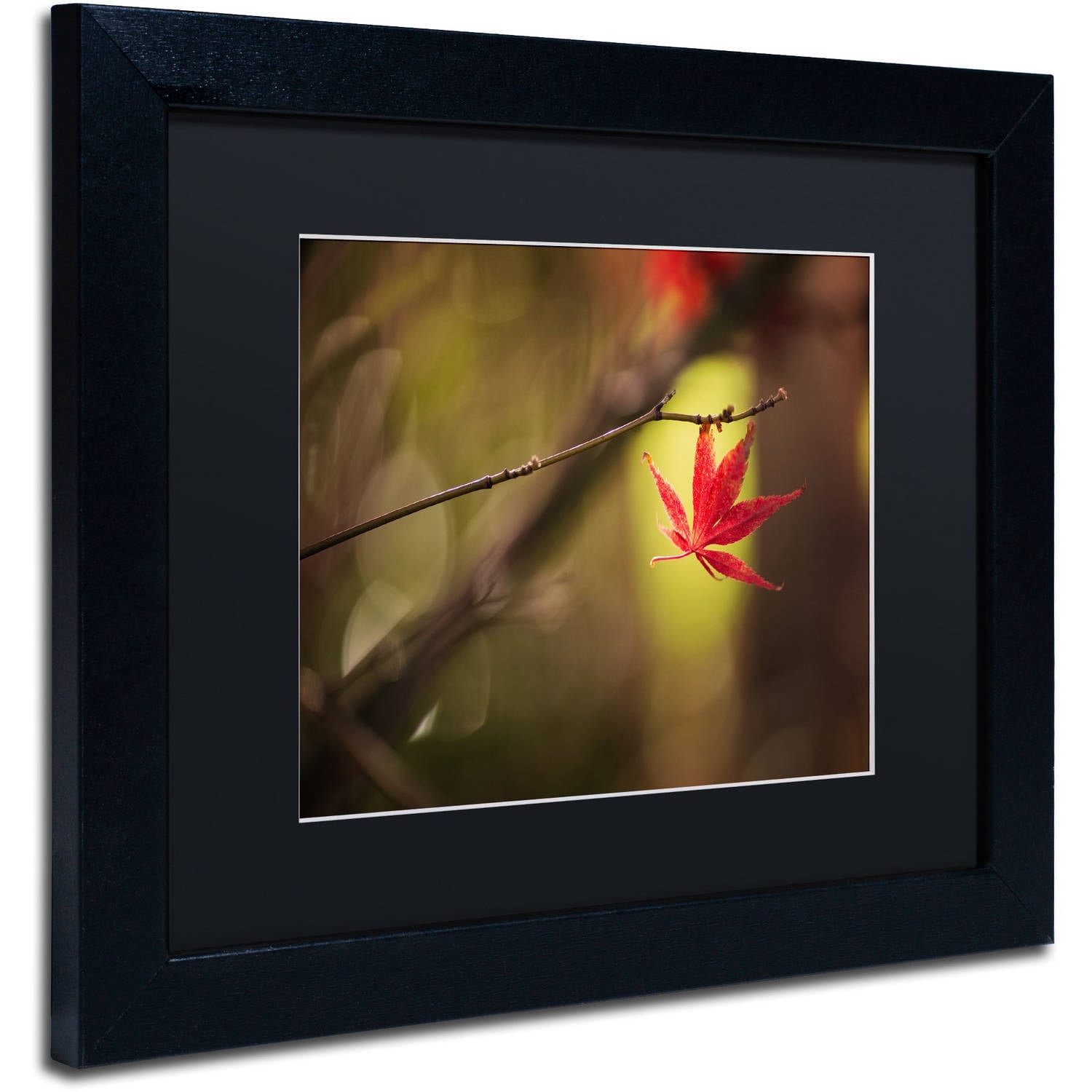 Trademark Fine Art "Don't Give Up" Canvas Art by Philippe Sainte-Laudy Black Matte, Black Frame